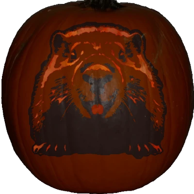 Beaver