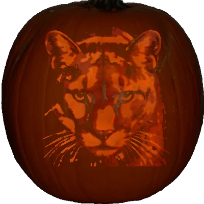 Cougar