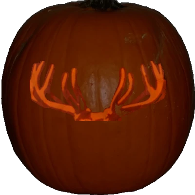 Elk antlers