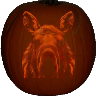 Moose head