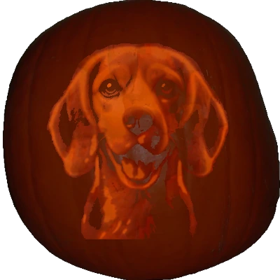 Beagle