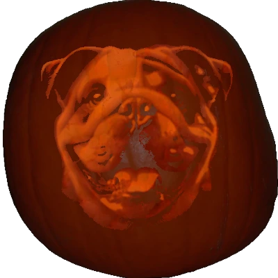 Bulldog pumpkin carving stencil