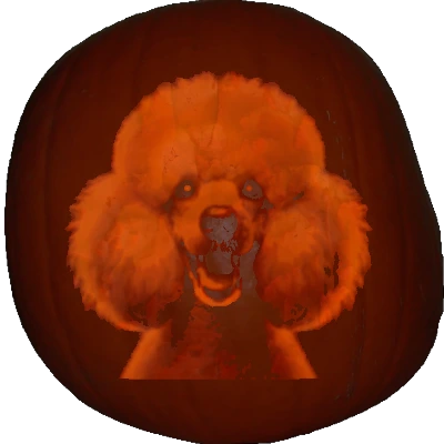 Poodle-Standard
