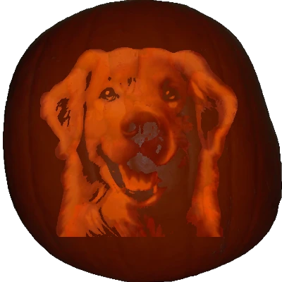 Golden Retriever pumpkin carving stencil