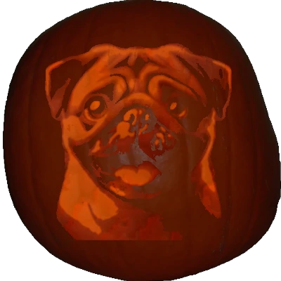 Pug