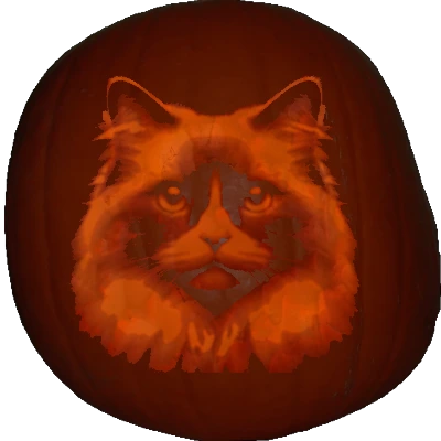 Ragdoll